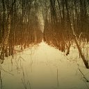  ,  -  13  2016     ... ,   !