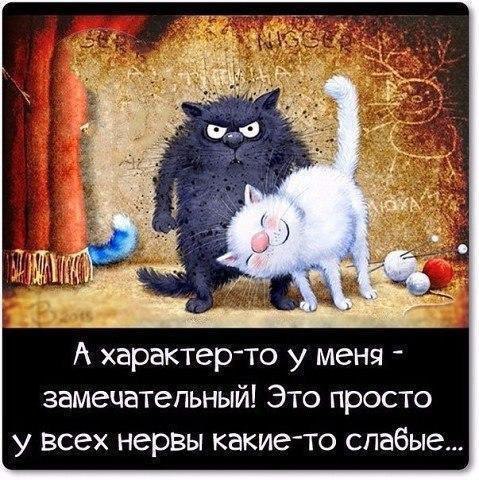 Elena - 5  2016  07:50