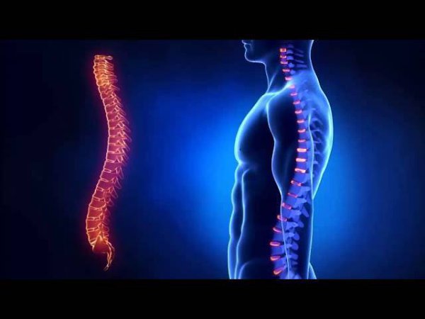 ������� ��� ������� �����: ��������! ���� � ��� ���� �������� � �������������, �� ������ ����� �� ...