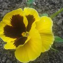 ���� �����, ���� - ��������� 6 ������ 2016 � ������ ���� ����������