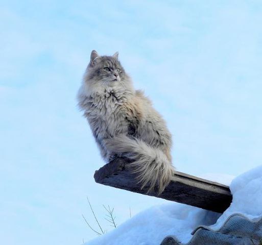      ?! - 5