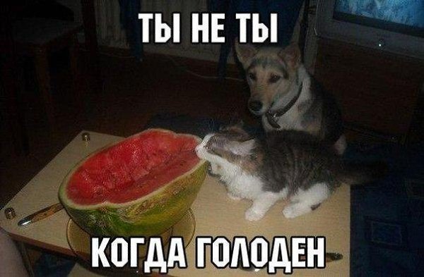  - 3  2016  11:43