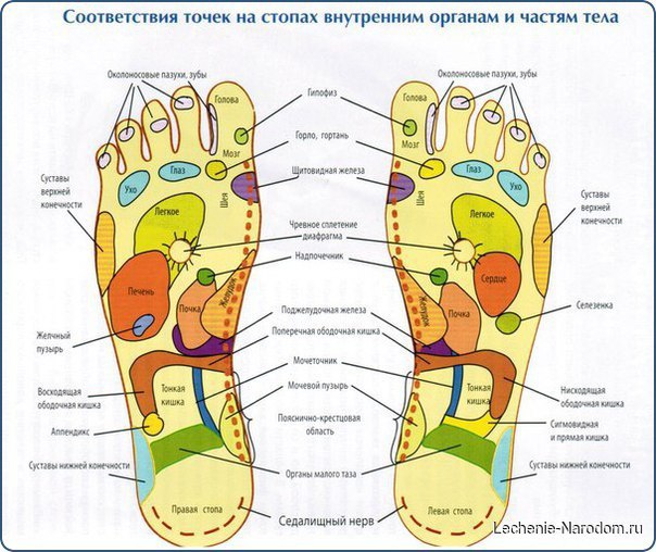 Главное в ноге — это пятка! Наши ступни наделены множеством точек, связанных с внутренними органами. ...