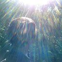 ���� �������, ������, 38 ��� - ��������� 15 ������� 2016 � ������ ���� ����������