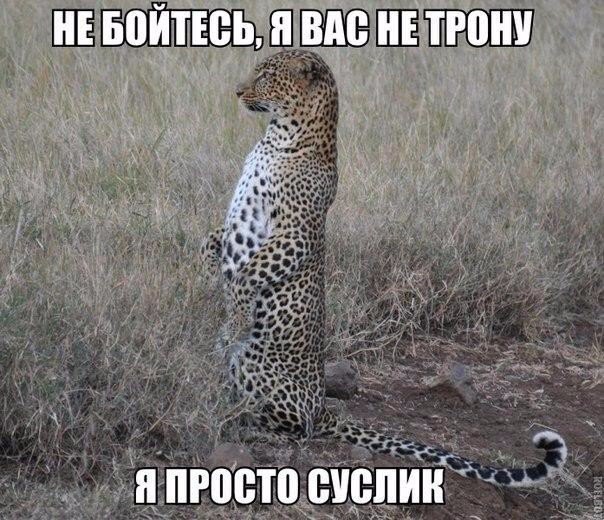 :3