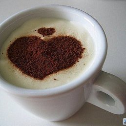 ���� �����, ���������� - ��������� 14 ����� 2017