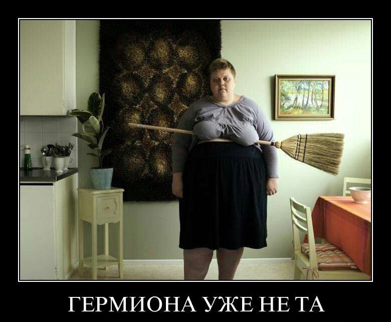   - .     - .    .