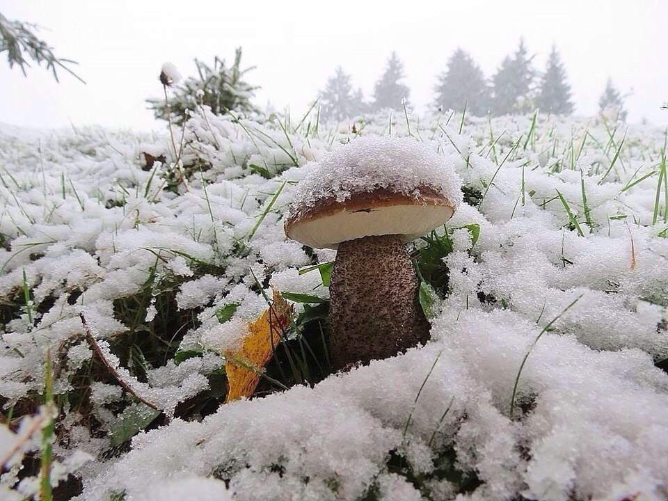  ""