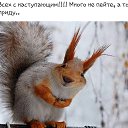 ���� ��������, ���������� - ��������� 2 ������ 2017 � ������ ���� ����������