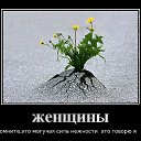 ���� ���, ���� - ��������� 2 ������� 2016 � ������ ���� ����������