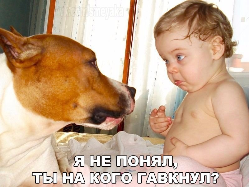   :D - 17  2016  01:01