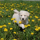 ���� ����, ������, 67 ��� - ��������� 20 �������� 2016 � ������ ���� ����������