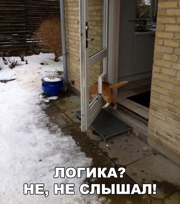    - 25  2016  12:55