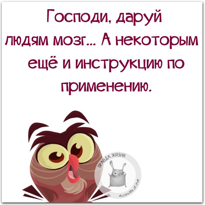 Дающая некоторые. Господи даруй людям мозг а некоторым. Даруй людям мозг. Господи дай людям мозги. Господи даруй людям мозг а некоторым инструкцию.