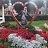 ���� Vasilina, ���������, 42 ���� - ��������� 6 ����� 2017