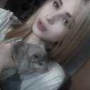 ���� ����������, ����, 26 ��� - ��������� 4 ������ 2017 � ������ ���� ����������