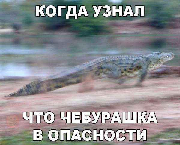    :D - 16  2016  00:39