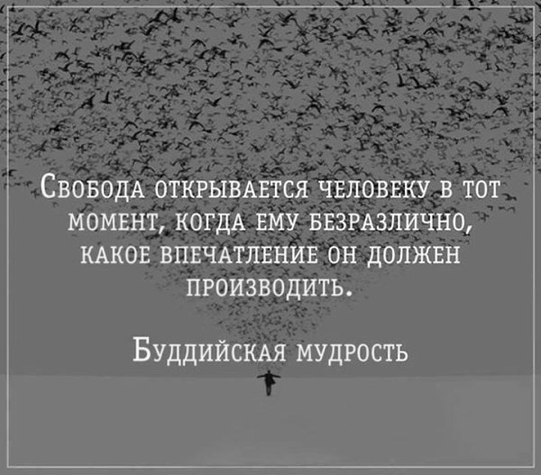 LIFE -  - 3  2016  06:28