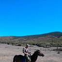 ���� ����, �����������, 64 ���� - ��������� 26 ������ 2017 � ������ ���� ����������