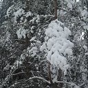  ,  -  11  2016    , 