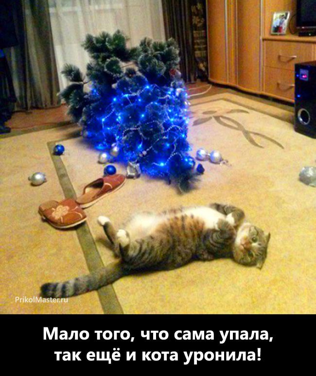  - 23  2016  20:54
