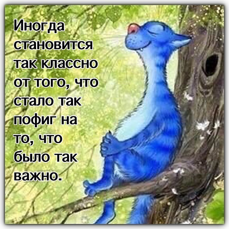---------------