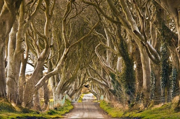 epo pc e, o oo o  po - 3