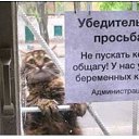  , - -  29  2017    