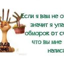 ���� Tasha, ��������� - ��������� 28 �������� 2016 � ������ ���� ����������