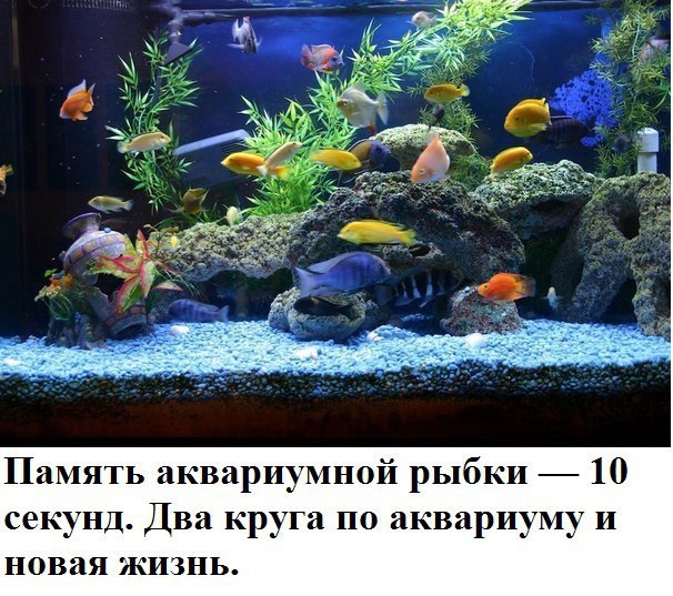   - 1  2016  14:07