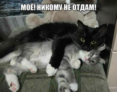 ���)))