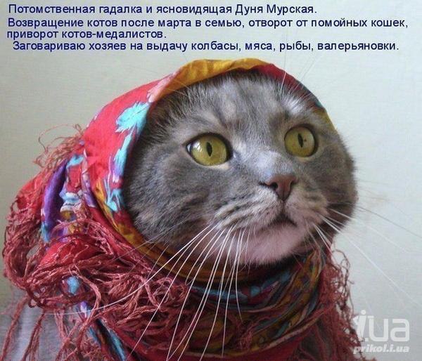 ))).Сниму: венец безбрачия, фату одиночества, печать бобылизма, штампцеломудрия, "пластырь ...
