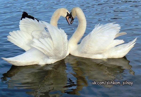 ������ � �������, ���������� �����.������� ������� ������� � ��!