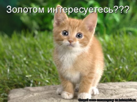 ��� ���� - 20 ������� 2016 � 22:28