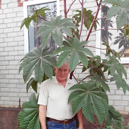 ���� ������, ��������, 66 ��� - ��������� 5 ������ 2016