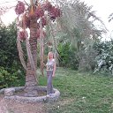 ���� �����, ����������, 48 ��� - ��������� 13 ������ 2017 � ������ ���� ����������