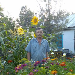 ���� ��������, �����, 68 ��� - ��������� 20 ������� 2016