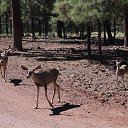 ���� �����, ��������, 48 ��� - ��������� 6 ����� 2017 � ������ ��������� ������� � ������