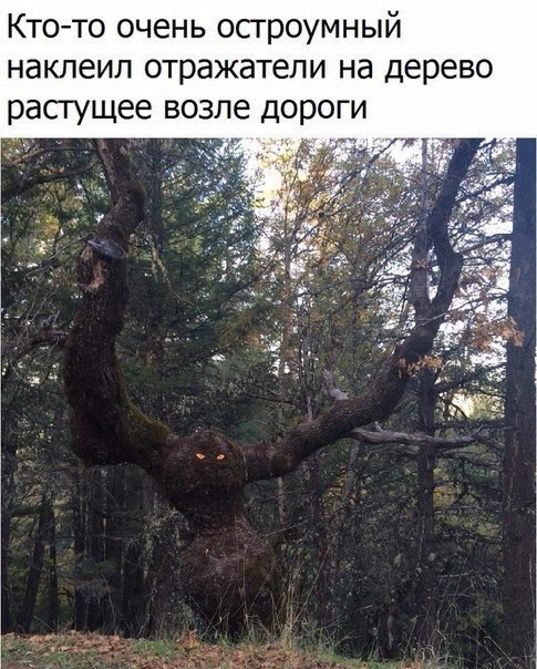  - 8  2017  05:33