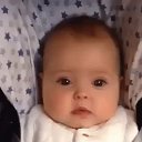 ���� Ը���, ��������, 77 ��� - ��������� 11 ����� 2017