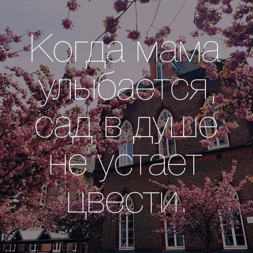   . . . - 27  2017  17:05