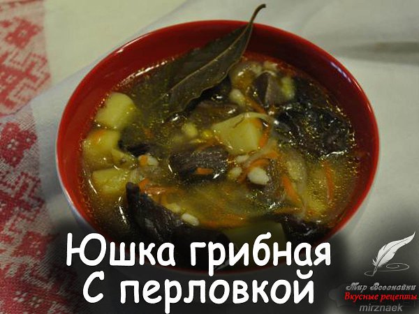 Грибная юшка – это ароматное и сытное первое блюдо, которое чаще всего относят к карпатской кухне ...