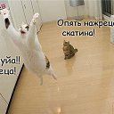 ���� �����, ���, 63 ���� - ��������� 30 �������� 2016 � ������ ������ ��������