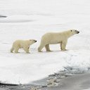 �������-2014. ��� ����� �������. �� ������� ���� ����������