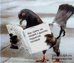 ))).    ,           ...