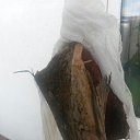 ���� ������, ���������, 45 ��� - ��������� 17 ������ 2016 � ������ ����������