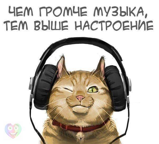   :D - 19  2016  17:04