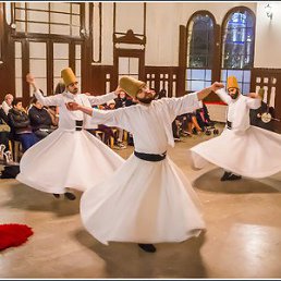 �����, �������������, 45 ���