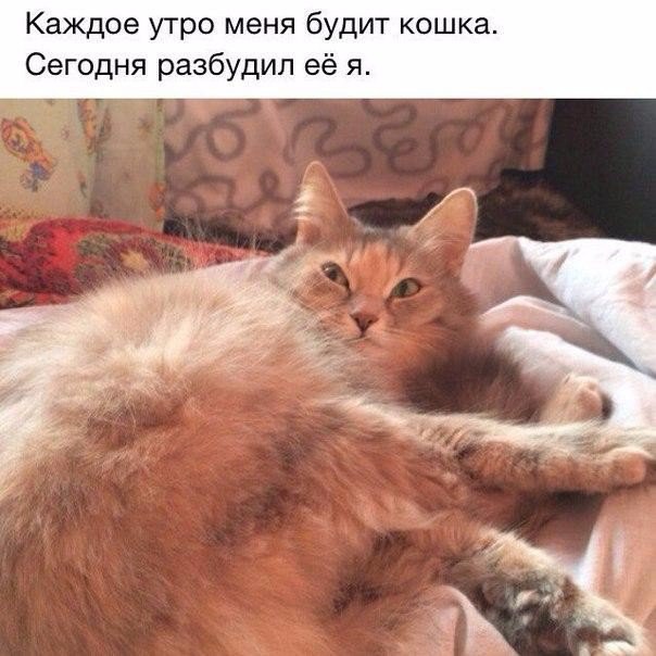   - 29  2016  12:07
