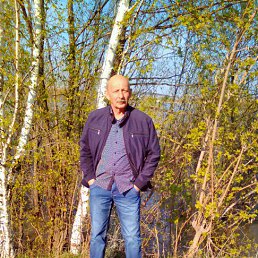 ���� ������, �����������, 65 ��� - ��������� 15 ������� 2016